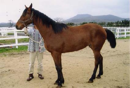 ��Ʈ������ ����