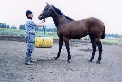 �����Ʈ���� ����