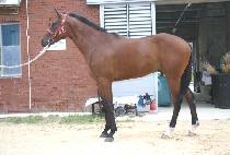 ��ȣ���� (GANGHO JIJON) ����