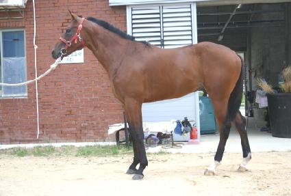 ��ȣ���� ����