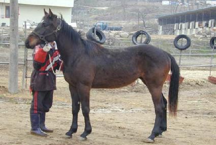 õ�ڱ� ����