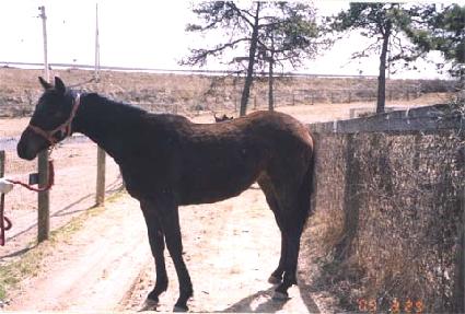 ���ǿ� ����