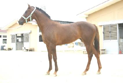 ����ǳ ����