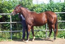 �����Ҹ� (GIJEOK SORI) ����