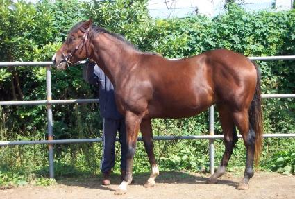 �����Ҹ� ����