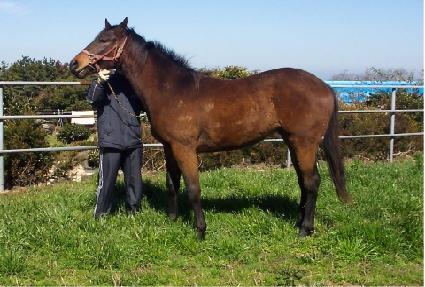 ���϶��� ����