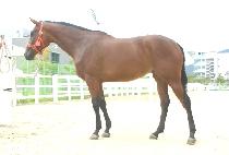 �������� (OBOK MAEUL) ����