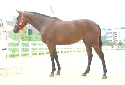 �������� ����