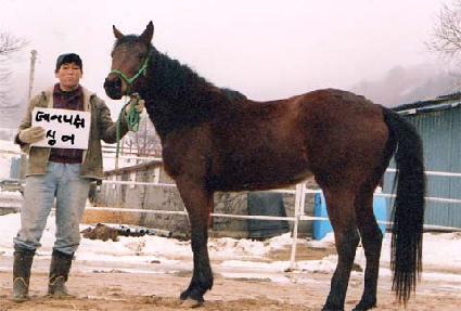 ������â ����