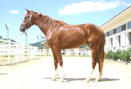 ���ּ� ����