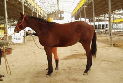 ����극��Ŀ ����