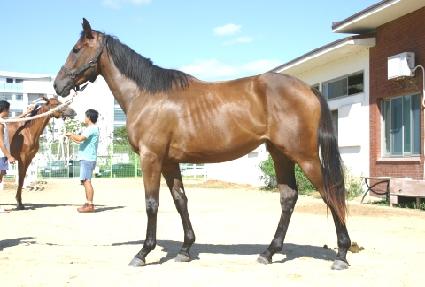 �����Ǻ� ����