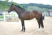 �ݰ����� (GEUMGWANGAYA) ����