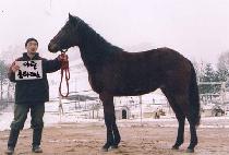 ��������â (WELCOMTOPYEONGCHAN) ����