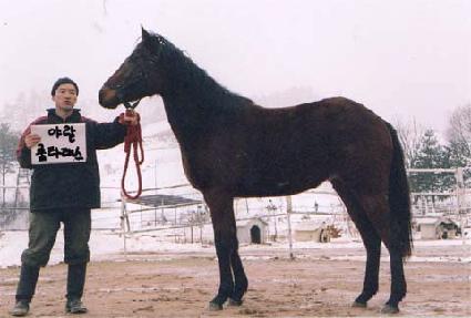 ��������â ����