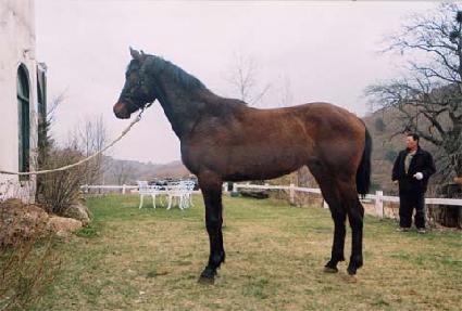 ��Ʈ��ǻ���� ����