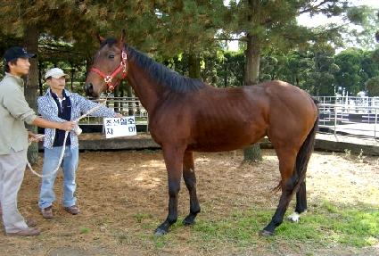 �Ǳ����� ����