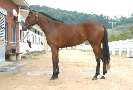 �������� ����