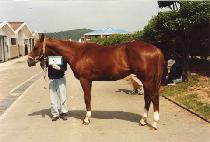 ������ (HAITANG) ����