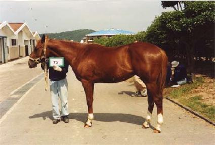 ������ ����