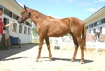 ������ (JEONMYEONJEON) ����