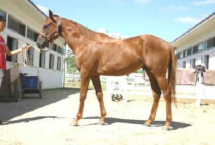 ������ ����