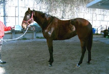 �ƿ��� ����