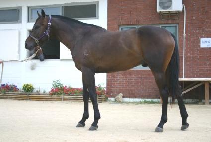 ������� ����