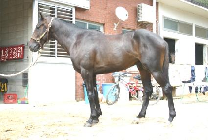 ������ ����