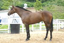 �ݼ����� (GYEOKSE JIGAM) ����