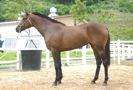 �ݼ����� ����