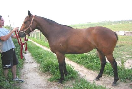 ��� ����