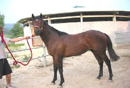 ž����Ʈ ����