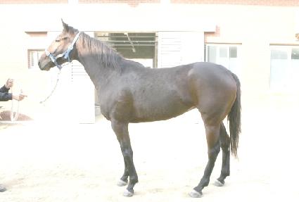 �۷θ�� ����