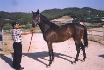 ������� (WORLD VISION) ����