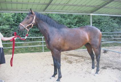 �׷������ ����