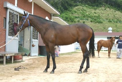 ����Ʈ���� ����