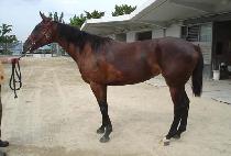 �̽��ٶ� (ISEULBARAM) ����