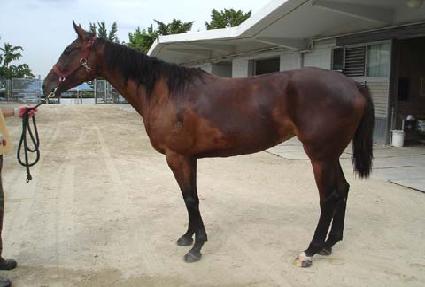 �̽��ٶ� ����