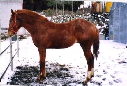 õ���� ����