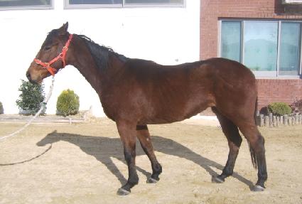 ������ ����