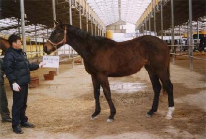 Ÿ�����¾� ����