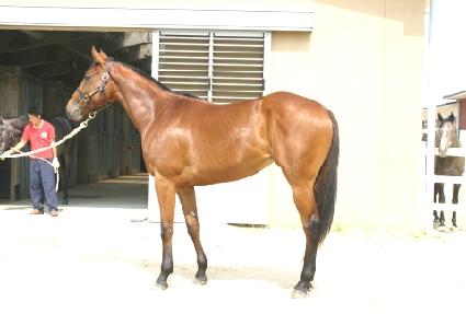 ��Ʈĳġ ����