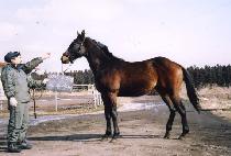 ���� (YEYEONG) ����