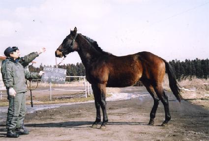 ���� ����