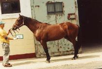 �������� (GAMDONG YEONCHUL) ����