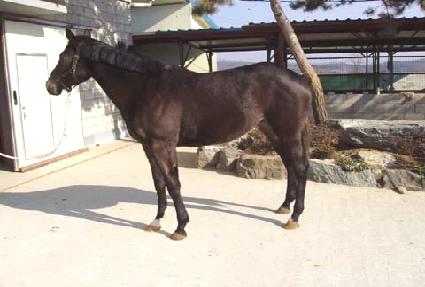 �������� ����