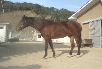 ������ ����