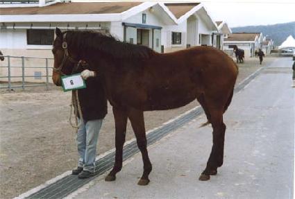 ������Ÿ�� ����