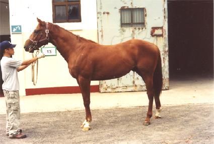 õ����� ����